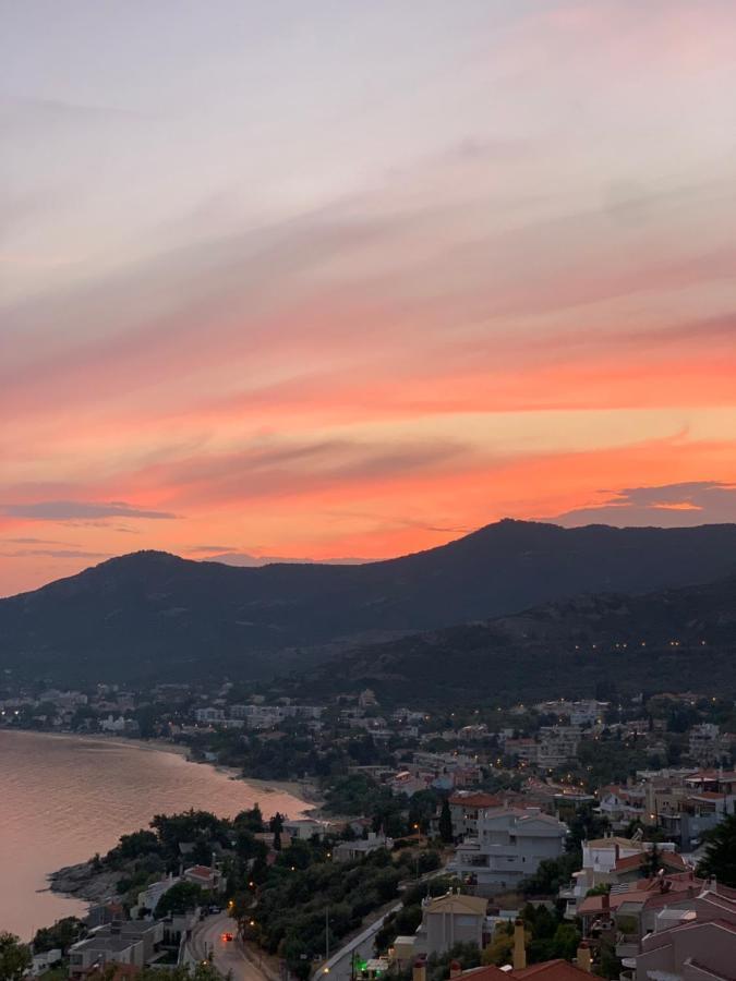Mimoza'S Sea View Apartment Palaiontsiflikion Bagian luar foto
