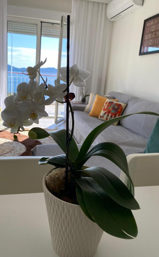 Mimoza'S Sea View Apartment Palaiontsiflikion Bagian luar foto