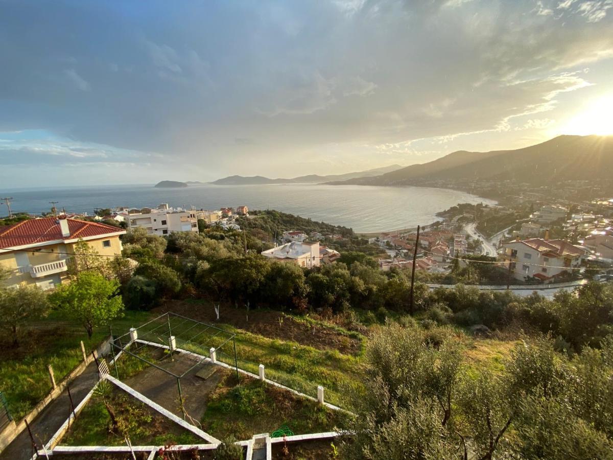 Mimoza'S Sea View Apartment Palaiontsiflikion Bagian luar foto