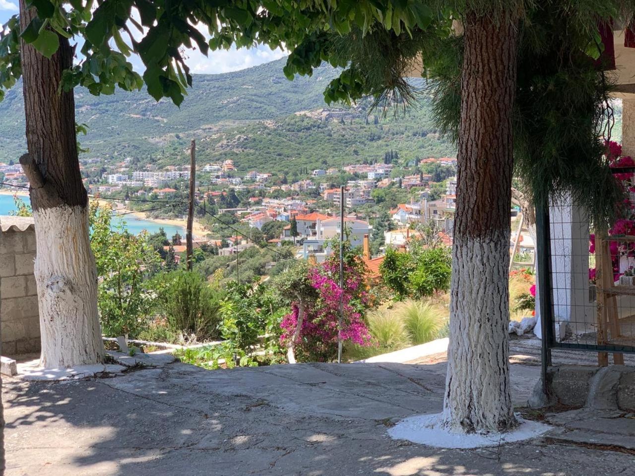 Mimoza'S Sea View Apartment Palaiontsiflikion Bagian luar foto